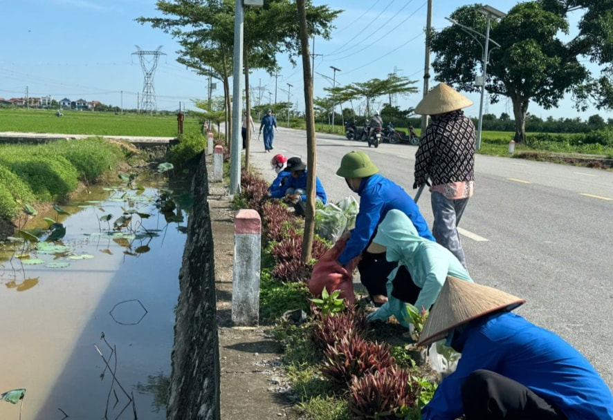Phần xanh Phần xanh