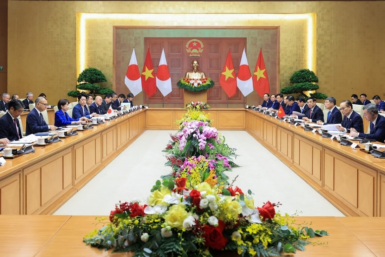 h6.jpg