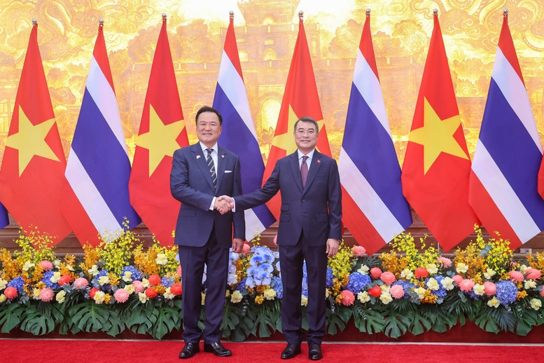a1.jpg