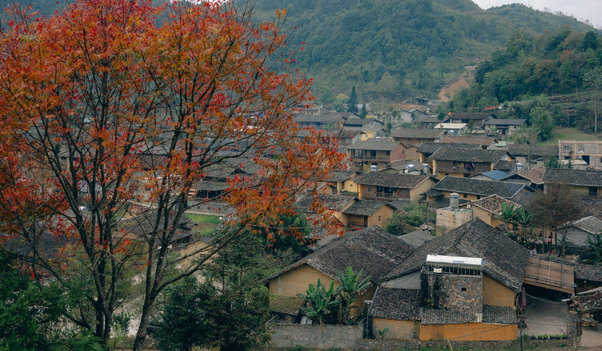lolochai_hagiang-9.jpg