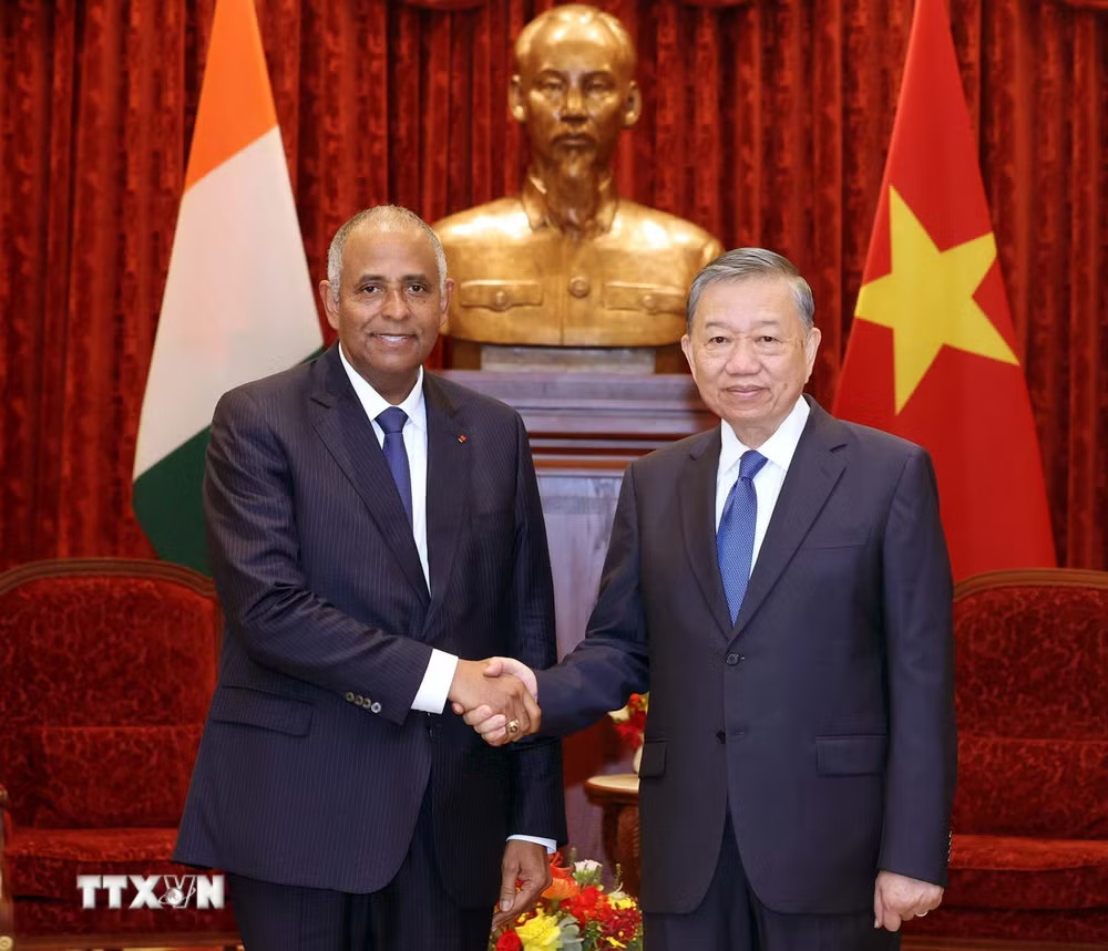 Tổng Bí thư, Chủ tịch nước Tô Lâm tiếp Chủ tịch Quốc hội Côte d'Ivoire Patrick Achi- Ảnh 2.