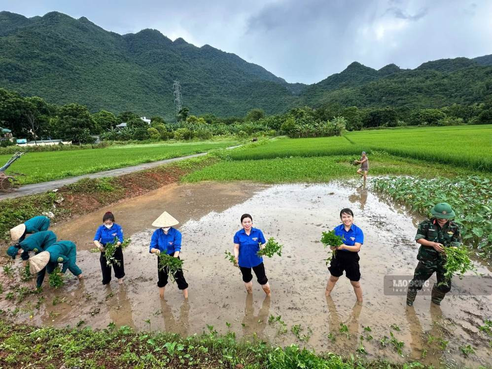 Hướng tới Quốc khánh, nhiều thanh niên xuống đồng tri ân người có công
