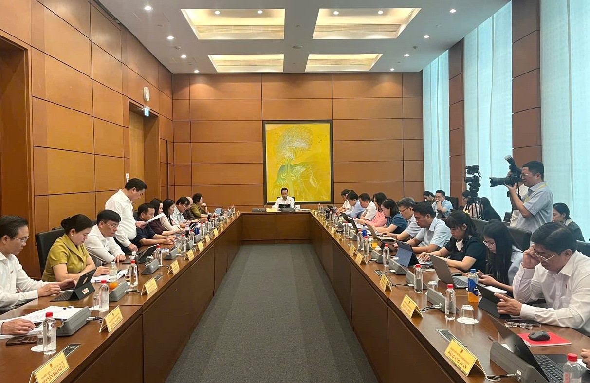 Sửa đổi Luật Đất đai: Phải phục vụ thiết thực cho các mục tiêu phát triển- Ảnh 1.