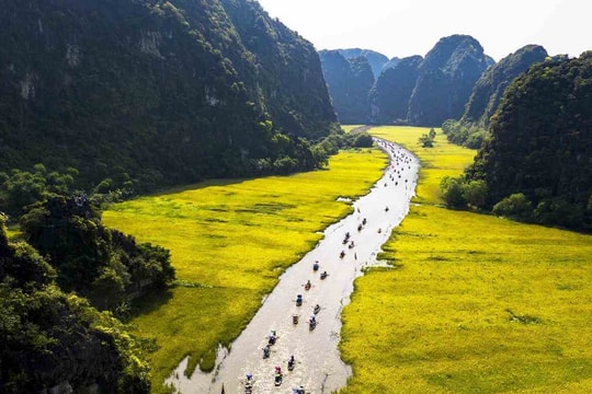 Ninh Bình: Phát huy vai trò của hợp tác xã trong phát triển nông nghiệp bền vững