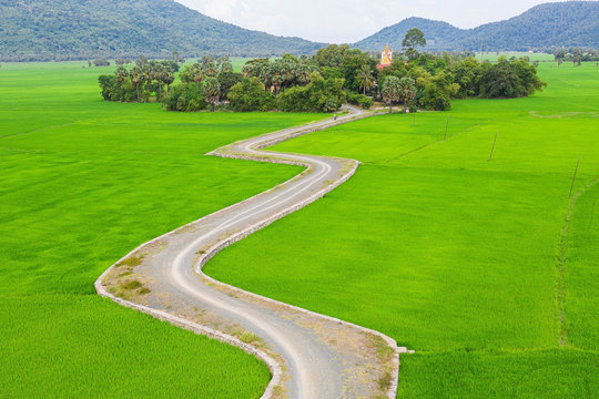 Thanh niên Việt Nam tiên phong trong hoạt động thực hiện mục tiêu phát triển bền vững