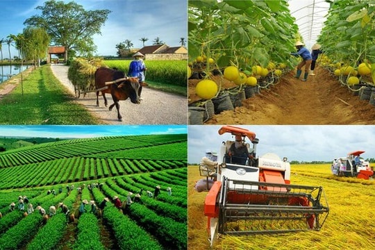 Phát triển hợp tác xã nông nghiệp tỉnh Đắk Lắk theo tinh thần Nghị quyết số 20-NQ/TW của Đảng